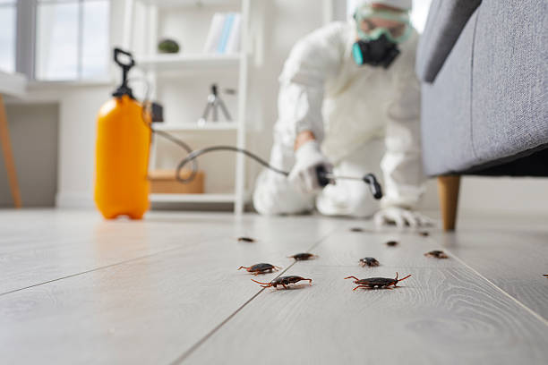 Trusted Fumigation Services service in Belleview, FL - Nex Pest Control